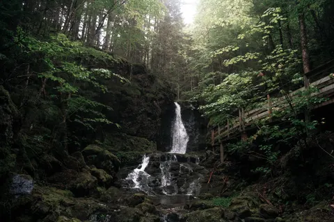 Forest Waterfall 4K Wallpaper · waterfall · 3840×2560