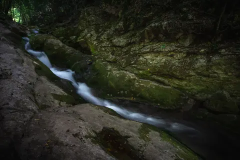 Forest Waterfall 4K Wallpaper · waterfall · 3840×2560