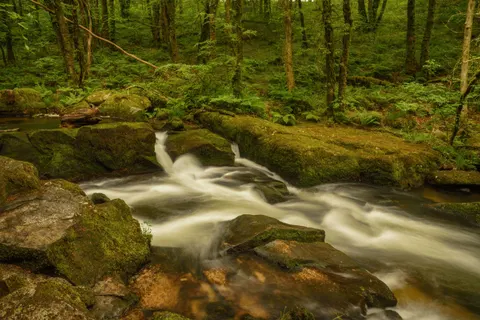 Waldwasserfall 4K Hintergrundbild · waterfall · 3840×2563