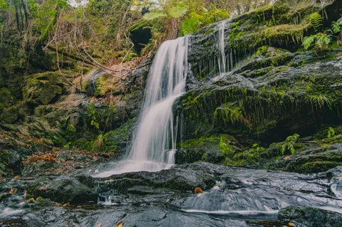Fondo de pantalla Cascada del Bosque 4K · waterfall · 3840×2553