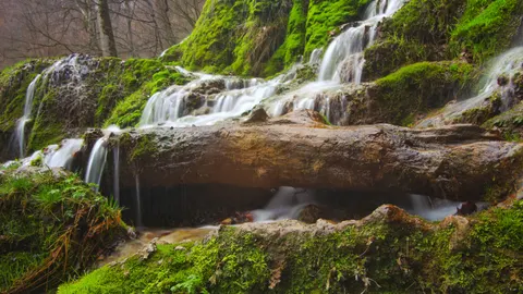 Forest Waterfall 4K Wallpaper · waterfall · 3840×2158
