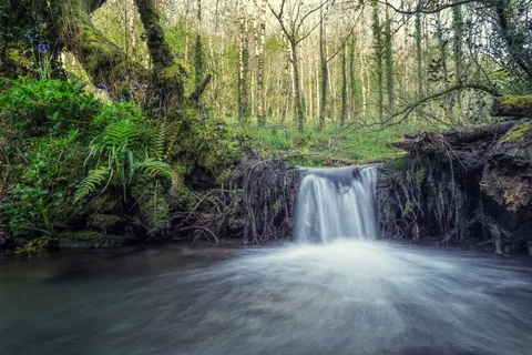 Forest Waterfall 4K Wallpaper · waterfall · 3840×2560