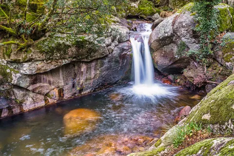 Forest Waterfall 4K Wallpaper · waterfall · 3840×2561