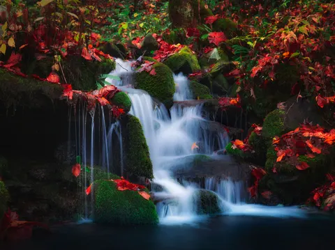 Waldwasserfall 4K Hintergrundbild · waterfall · 3840×2873