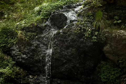Forest Waterfall 4K Wallpaper · waterfall · 3840×2560
