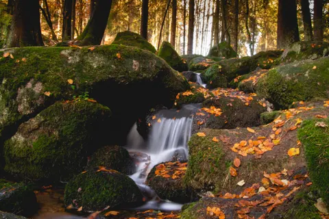 Forest Waterfall 4K Wallpaper · waterfall · 3840×2560