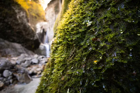 Forest Waterfall 4K Wallpaper · waterfall · 3840×2560