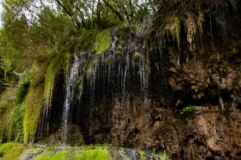 Forest Waterfall 4K Wallpaper · waterfall · 3840×2560