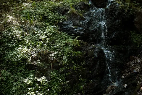 Forest Waterfall 4K Wallpaper · waterfall · 3840×2560