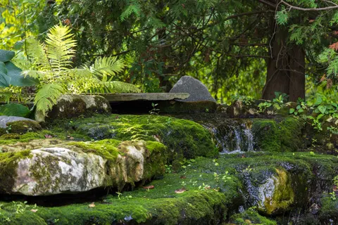 Forest Waterfall 4K Wallpaper · waterfall · 3840×2561