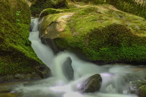 Forest Waterfall 4K Wallpaper · waterfall · 3840×2563