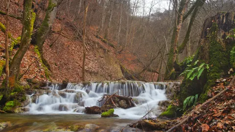 Orman Şelalesi 4K Duvar Kağıdı · waterfall · 3840×2158