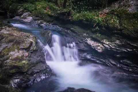 Forest Waterfall 4K Wallpaper · waterfall · 3840×2553