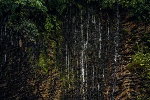 Forest Waterfall 4K Wallpaper · waterfall · 3840×2560