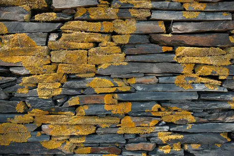 石墙 4K壁纸 · textures · 3840×2560