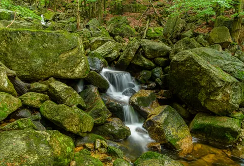والپیپر آبشار جنگلی با کیفیت 4K · waterfall · 3840×2608