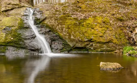 Forest Waterfall 4K Wallpaper · waterfall · 3840×2328
