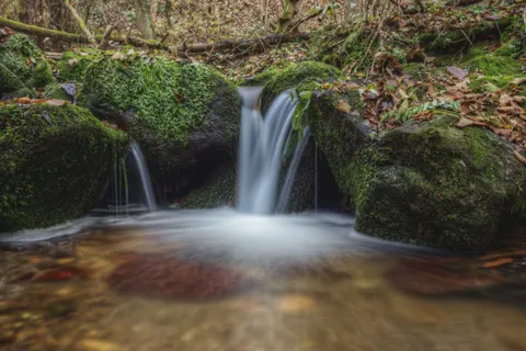 Forest Waterfall 4K Wallpaper · waterfall · 3840×2560