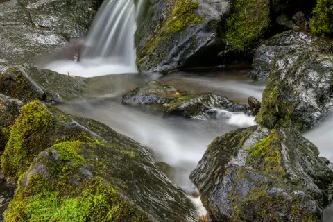 Forest Waterfall 4K Wallpaper · waterfall · 3840×2560
