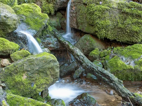 Forest Waterfall 4K Wallpaper · waterfall · 3840×2880