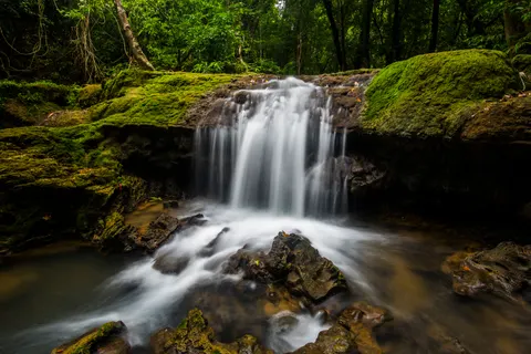 Sfondo Cascata nella Foresta 4K · waterfall · 3840×2563