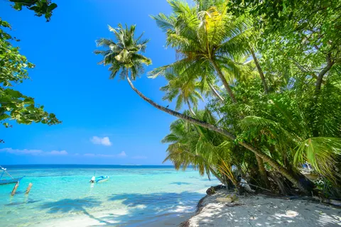 Tapeta Tropikalna Plaża 4K · ocean · 3840×2563