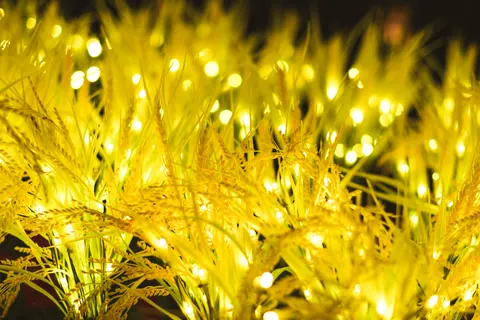 Bokeh-Lichter 4K Hintergrundbild · abstract · 3840×2560