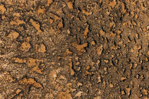 Wallpaper Kulit 4K · textures · 3840×2561