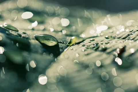 خلفية أضواء بوكيه بدقة 4K · abstract · 3840×2560