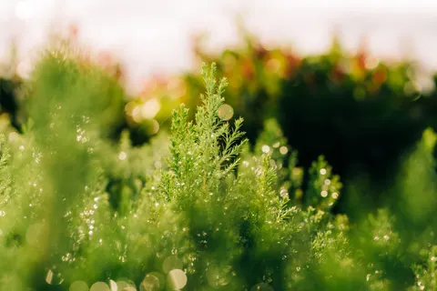 Bokeh-Lichter 4K Hintergrundbild · abstract · 3840×2560