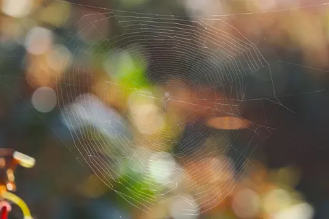 散景灯光 4K壁纸 · abstract · 3840×2561
