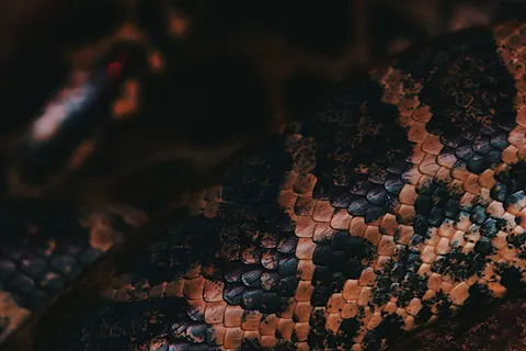Papel de parede Couro 4K · textures · 3840×2562