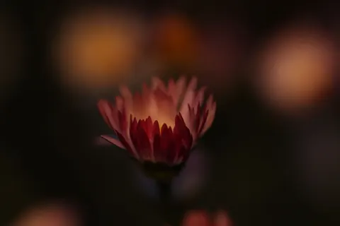 Bokeh-Lichter 4K Hintergrundbild · abstract · 3840×2560