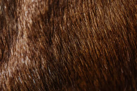 चमड़ा 4K वॉलपेपर · textures · 3840×2560