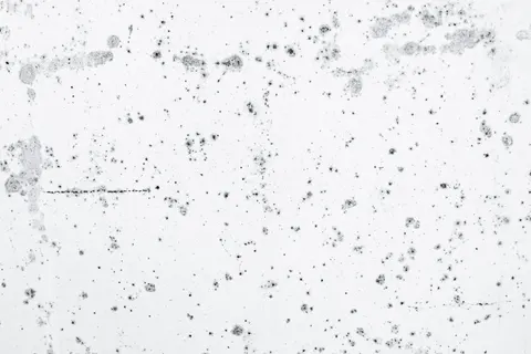 水泥紋理 4K桌布 · textures · 3840×2560