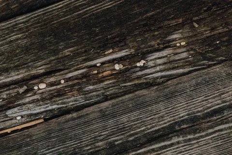 Sfondo Texture di Legno 4K · textures · 3840×2560