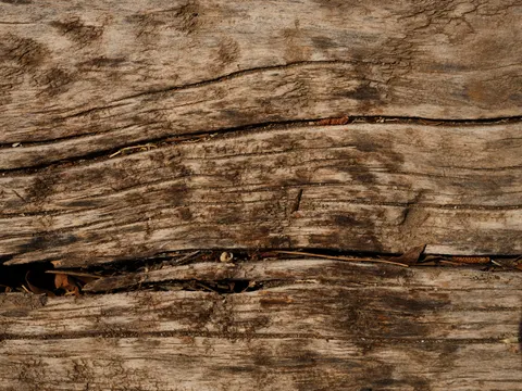 लकड़ी की बनावट 4K वॉलपेपर · textures · 3840×2880