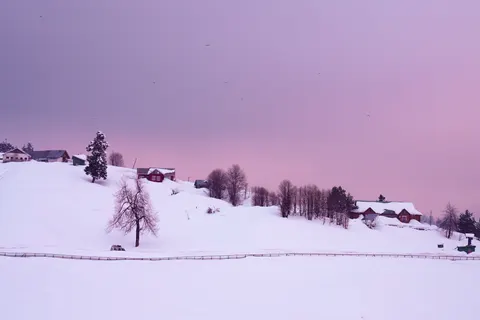 Winterschnee 4K Hintergrundbild · nature · 3840×2560