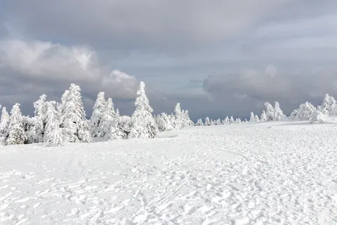 Winter Snow 4K Wallpaper · nature · 3840×2560