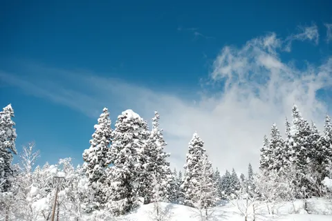 خلفية ثلج الشتاء بدقة 4K · nature · 3840×2560