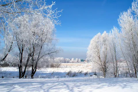 Winter Snow 4K Wallpaper · nature · 3840×2560