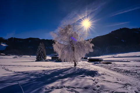冬日雪景 4K壁纸 · nature · 3840×2560