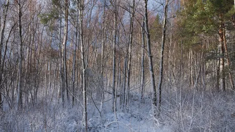 Winter Snow 4K Wallpaper · nature · 3840×2160