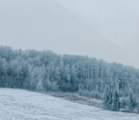 冬の雪 4K壁紙 · nature · 3840×3326