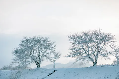 خلفية ثلج الشتاء بدقة 4K · nature · 3840×2560