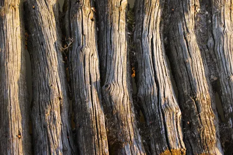 लकड़ी की बनावट 4K वॉलपेपर · textures · 3840×2560