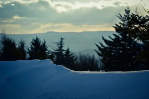 Winter Snow 4K Wallpaper · nature · 3840×2560