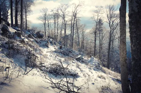 Fondo de pantalla Nieve de invierno 4K · nature · 3840×2555