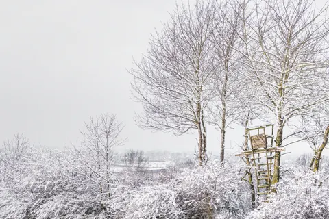 Winter Snow 4K Wallpaper · nature · 3840×2560