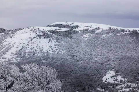 겨울 눈 4K 배경화면 · nature · 3840×2561